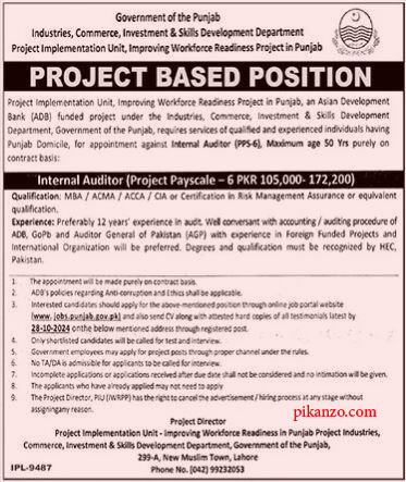 Project Implementation Unit PIU Jobs October 2024